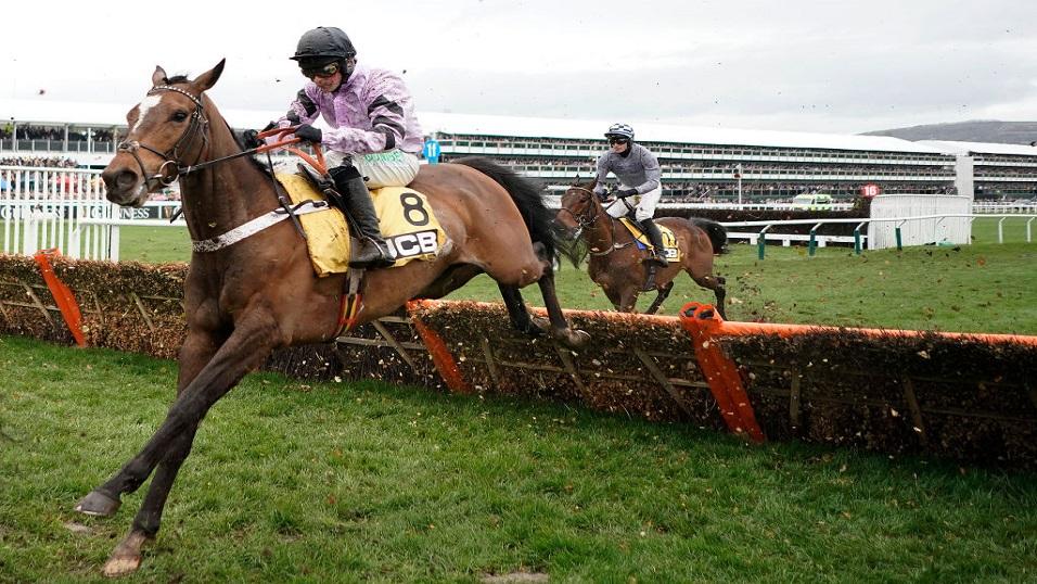 Pentland Hills take a jump at Cheltenham